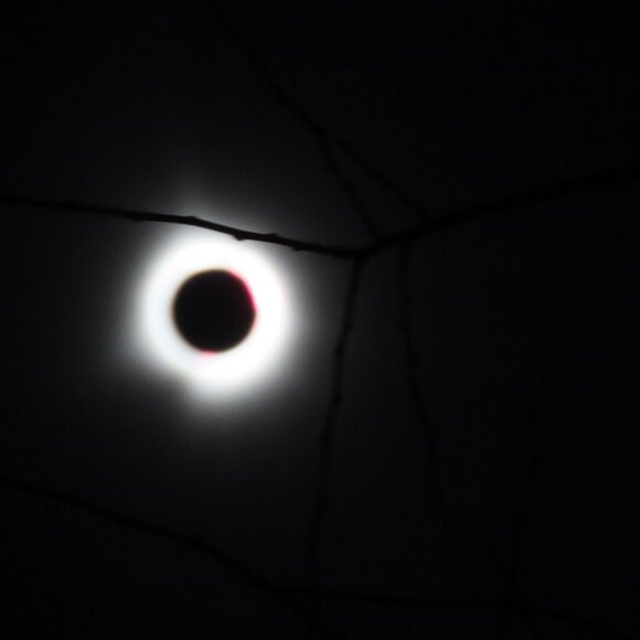 Meet your Posher - Picture 1 of 2